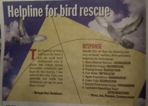 Helpline for bird rescue